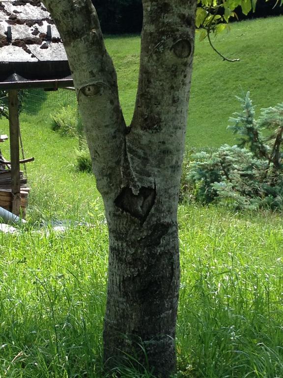 Вилла Casa Mia Эгг Номер фото
